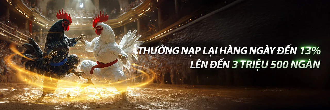Sân vận động với trận đấu bóng đá đang diễn ra, người hâm mộ cuồng nhiệt, thể hiện cá cược thể thao đỉnh cao tại 33win68.