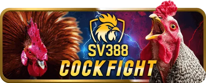Cá cược thể thao 33win68 với tỷ lệ cược cao